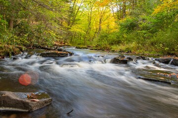 waterfall in the forest