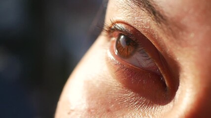 A CloseUp of an Eye Reflecting Exquisite Light and Raw Emotion, Full of Depth and Details
