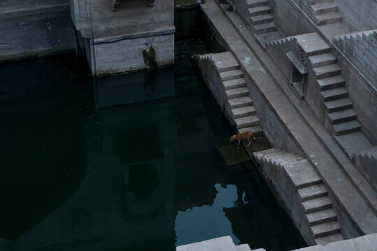 Toorji's Step Well, Toorji ki Jhalara, Toorj ki jhalra, was built in 1740s.Hand carved step well bulit to provide water to the local people in the desert. Ancient architecture Jodhpur,Rajasthan,India.