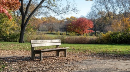 A serene park scene featuring a wooden bench surrounded by vibrant autumn foliage and a peaceful landscape.