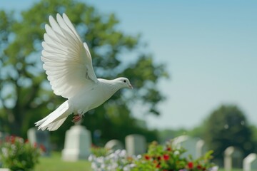 Obraz premium Symbol of Peace and Remembrance Soaring in Blue Sky Above Green Cemetery, Serene Dove of Hope