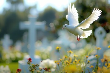 Symbol of Peace and Remembrance Soaring in Blue Sky Above Green Cemetery, Serene Dove of Hope
