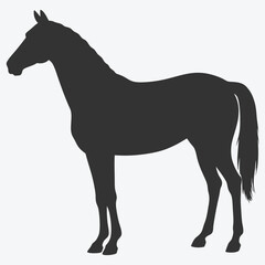 Obraz premium Majestic Horse Silhouette Vector Illustration, Perfect for Elegant Design Projects