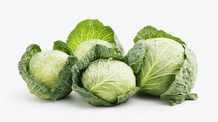 Fototapeta premium Three fresh green cabbages with tightly wrapped leaves and visible veins on a clean, white background, suggesting healthy, raw ingredients for cooking.