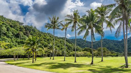 Naklejka premium Tall coconut palms grow on a manicured green lawn. The concrete path bends.A hill covered with tropical lush vegetation, against a blue sky and clouds. Malaysia. Borneo. Kota Kinabalu