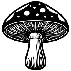 mushroom vector SVG,mushroom vector bundle