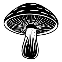 mushroom vector SVG,mushroom vector bundle