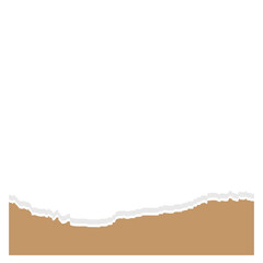 Obraz premium Torn Paper Footer