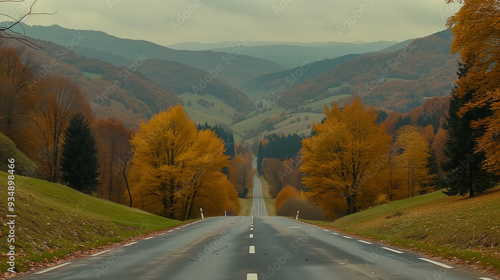Poster autumn road winding through rolling hills and forest..