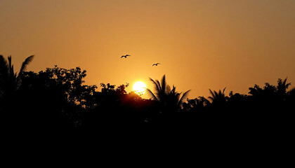 sunset in the mountains