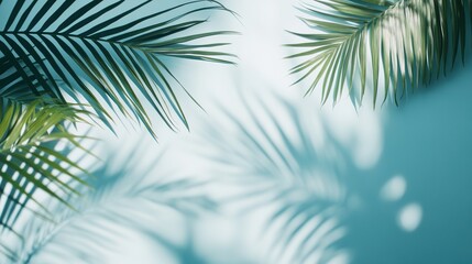 Obraz premium Tropical Serenity: Lush palm leaves cast tranquil shadows on a serene teal backdrop, evoking a sense of calm and escape. 