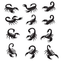set of scorpions silhouettes	 on white