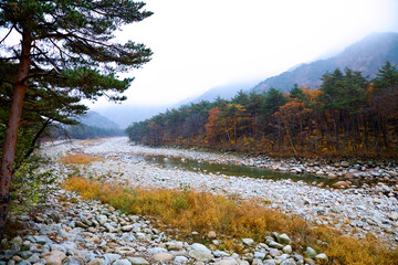 Landscape of Seoraksan national park in autumn,  South Korea.