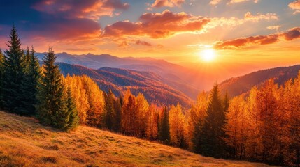 Naklejka premium Sunset Over a Mountain Forest with Golden Fall Colors