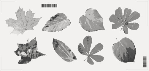 Autumn leaves collage set with dotted halftone effect. Grunge y2k fall collection elements. Retro vintage vector illustration on dark black background