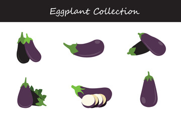 eggplant collection in different poses. Vector illustration.