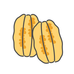 ピーカンナッツ　イラスト