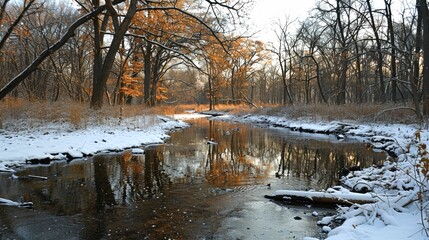 A Snowy Forest Stream in Wintertime