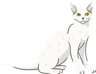 Illustration of a Devon Rex Cat