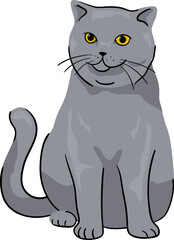 Illustration of a British Shorthair Cat