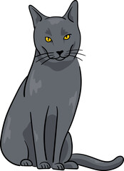Illustration of a Russian Blu Cat
