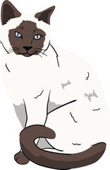 Illustration of a Siamese Cat
