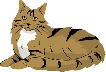 Illustration of a Siberian Cat