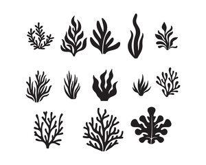 Set of sea corals and seaweed black silhouette. Aquarium plants, underwater ocean flora, algae. Vector illustration isolated on white background. ,Coral reef black silhouettes