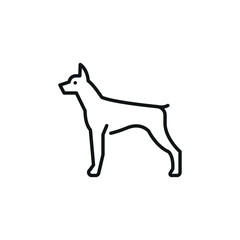 Doberman icon. A simplified representation of a doberman, often a symbol of loyalty, companionship, and domestic life. Perfect for use in pet care, veterinary services. Vector illustration 