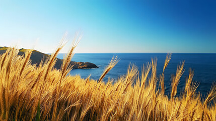 Golden wheat gently sways in the foreground with a clear blue sea stretching to the horizon, backed by a rugged coastline under a cloudless sky.