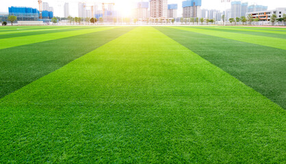 Green grass of the soccer field