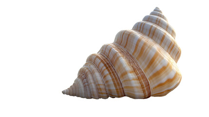 Seashell on the beach, isolated on a transparent background