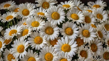 Fototapeta premium Daisy flower bouquets for sale
