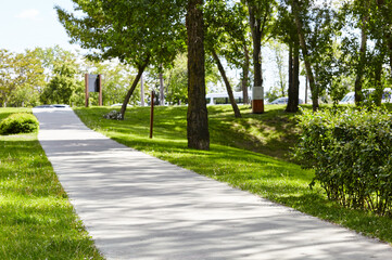Pathway surrounded by trees and ornamental shrubs in Kyiv, Europe. Recreation place in the city park