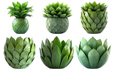 Fototapeta premium Artichoke plant set isolated on transparent background ideal for botanical and healthy food themed designs