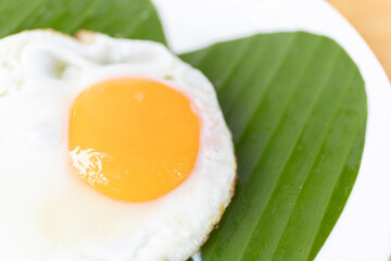 A freshly cooked sunny-side-up egg sits on a vibrant green leaf, creating a beautiful contrast of color and texture.