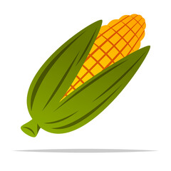 Single corn vector isolated illustration