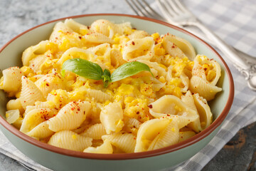 Creamy corn pasta features a silky sauce made from corn as well as pops of juicy kernels for texture closeup in the bowl on the table. Horizontal