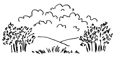 Trees and bushes, grass, hills, clouds in the sky. Nature, summer landscape. Simple vector drawing with black outline. Sketch in ink.