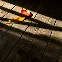 나무 마루 바닥에 떨어진 낙엽, 가을이 느껴지는 풍경