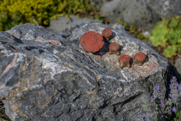 Small wooden table and logs - imitation plastic on stone.
