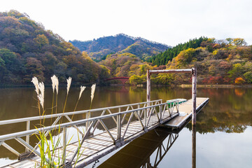 Fototapeta premium 日本の風景・秋 群馬県安中市 紅葉の碓氷湖
