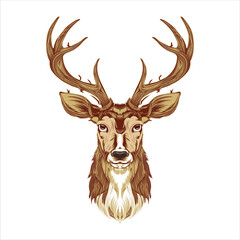 Deer head vector  illustration design on white background 