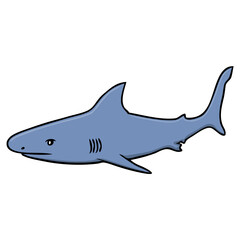 shark vector illustration