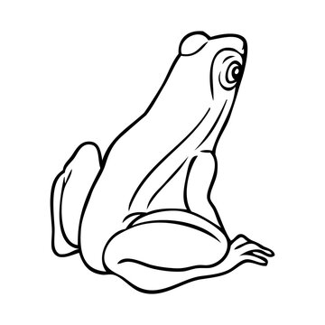 recommend clip art: frog line vector illustration