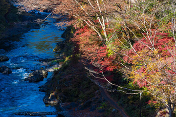 日本の風景・秋　東京都青梅市　紅葉の御岳渓谷
