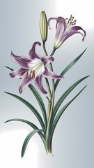 Obraz premium bouquet of lilies