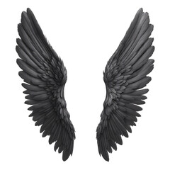 Obraz premium Isolated Black Angel Wings on a White Background, Perfect for Mystical and Ethereal Themes