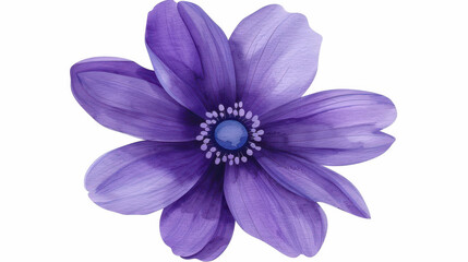 Delicate purple watercolor flower illustration, perfect for adding a touch of elegance and charm to your designs.