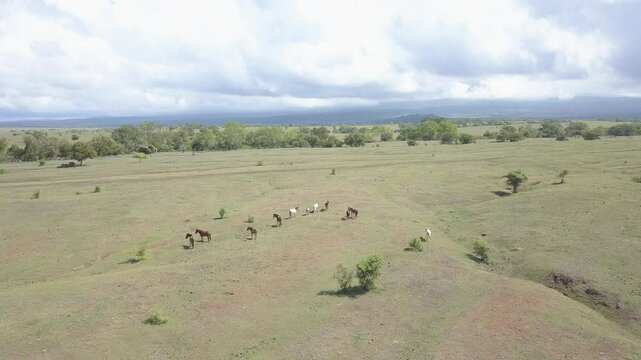 beautiful savana at doro ncanga geopark, bima west nusa tenggara indonesia. beautiful savana view with travel concept. drone view savana 